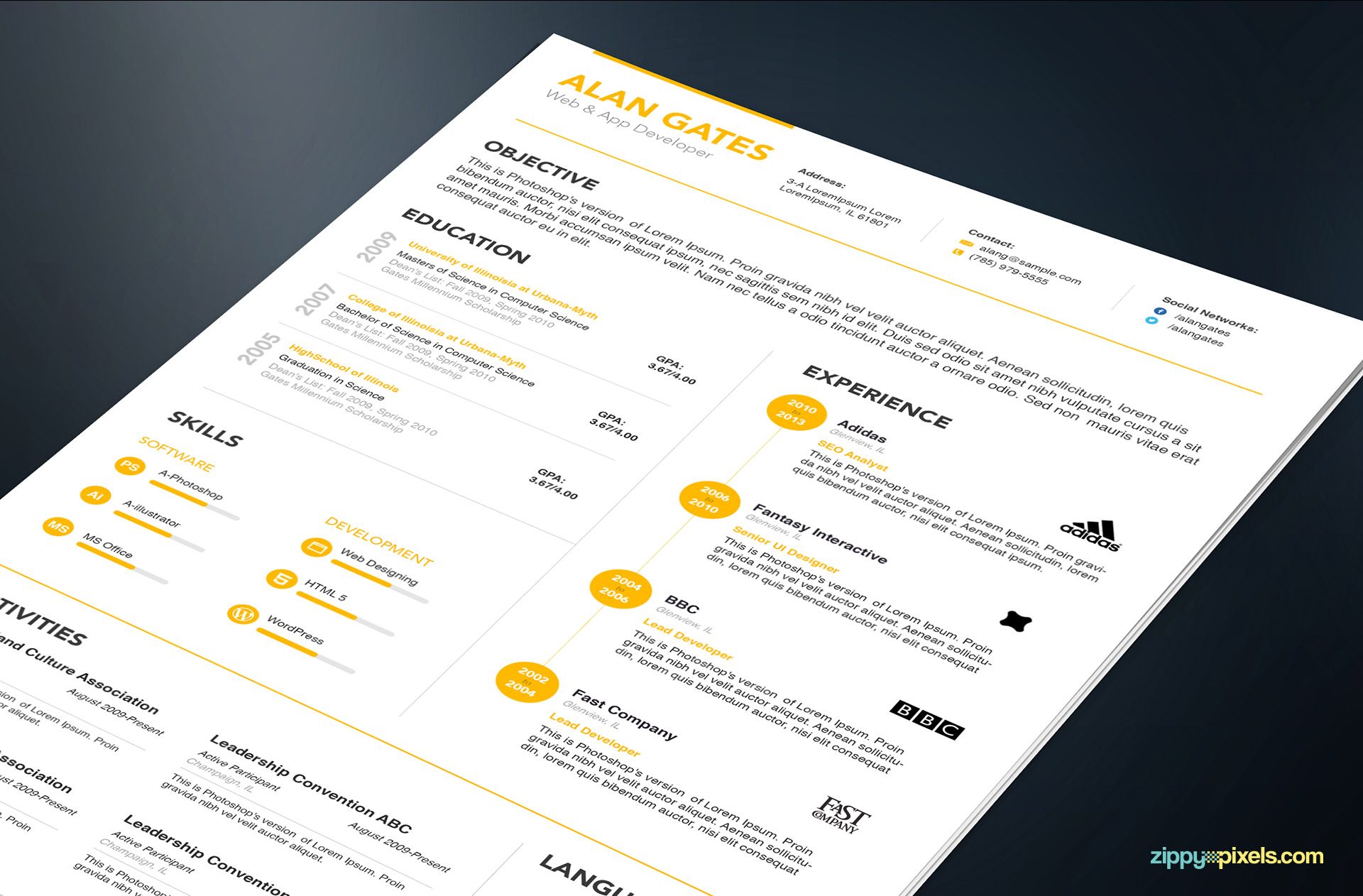 Professional Resume Templates in Simple Style 2