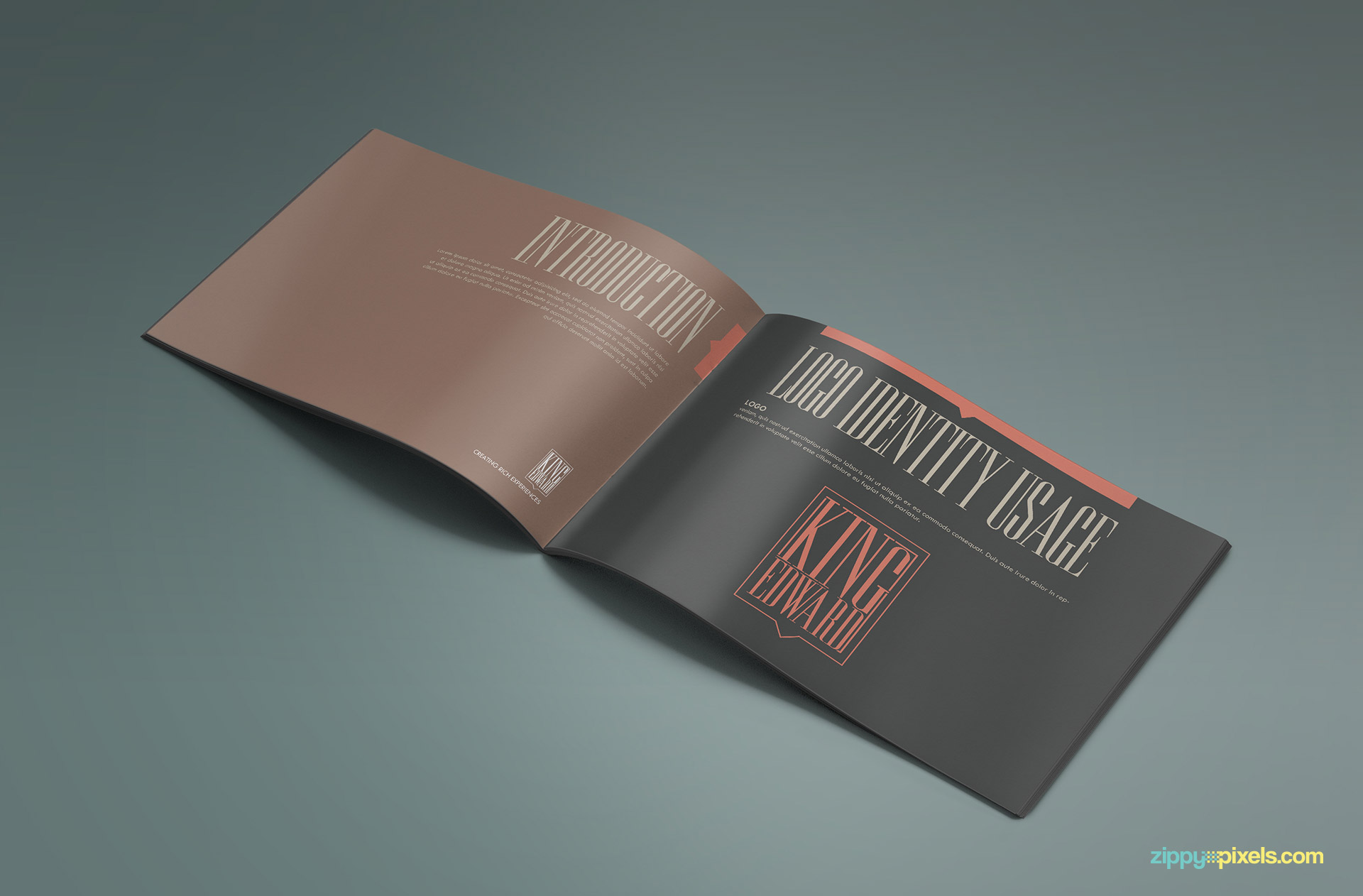 Brand Book - Brand Guidlines Template-Logo Identity Page