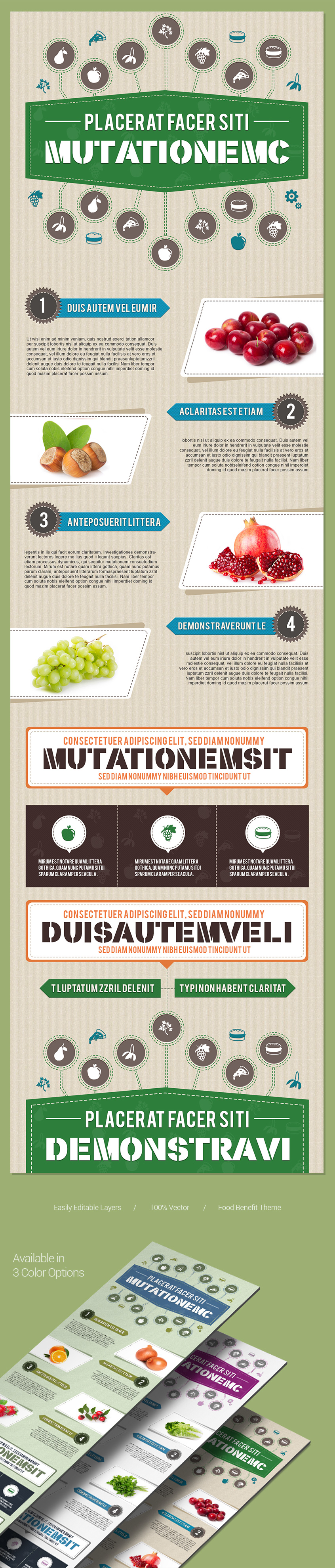 Simple-infographics-design-template-fruit-vector-elements-presentation