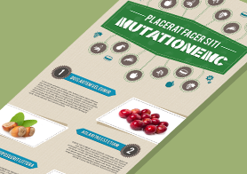 Free Infographics PSD Template in Food and Nutrition Theme – 3 Color Options