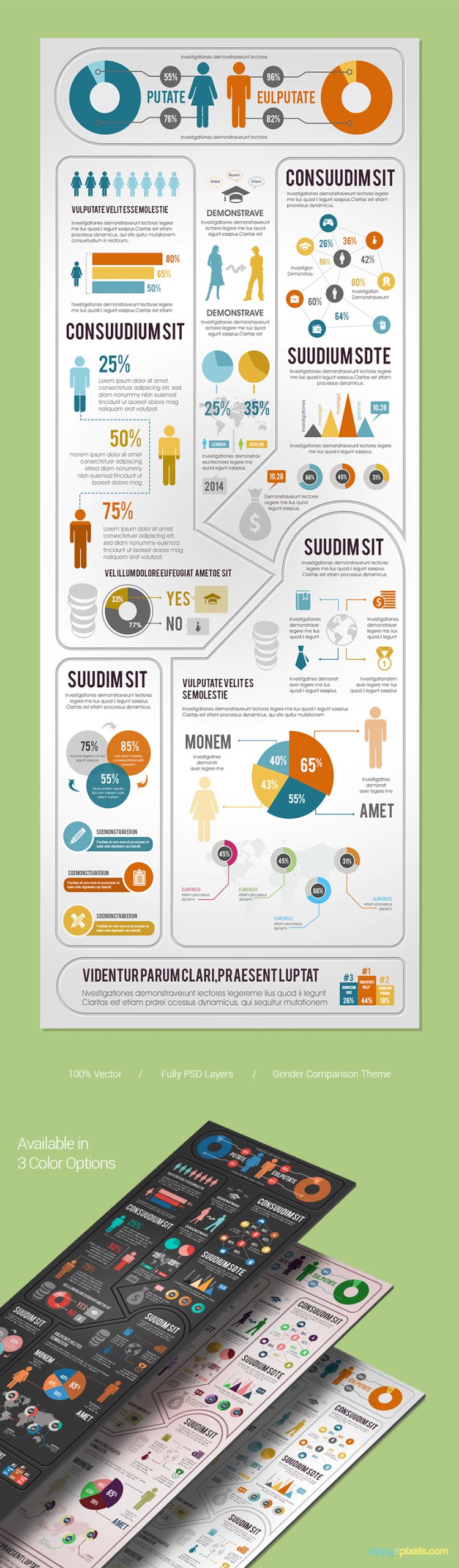 classic-infographics-template-vector-psd-presentation