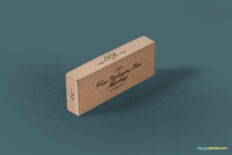Standing Kraft Packaging Box Mockup