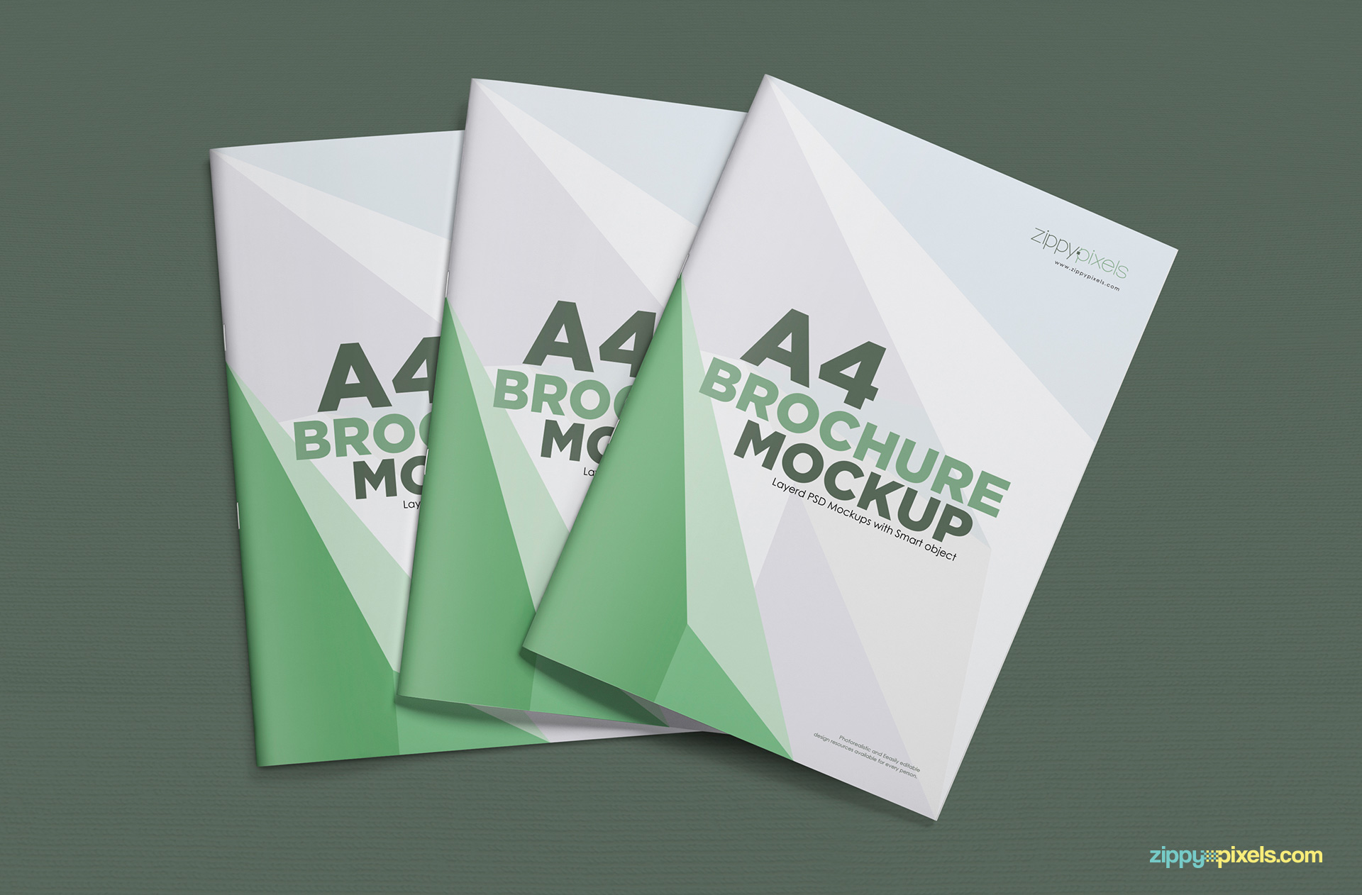 Elegant A4 Brochure Mockup with Cover Design