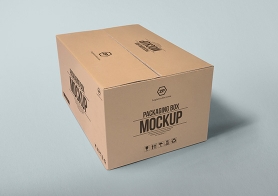Free Packaging Box Mockup