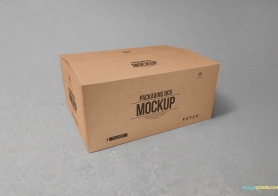 Download Free Cardboard Box Mockup | ZippyPixels