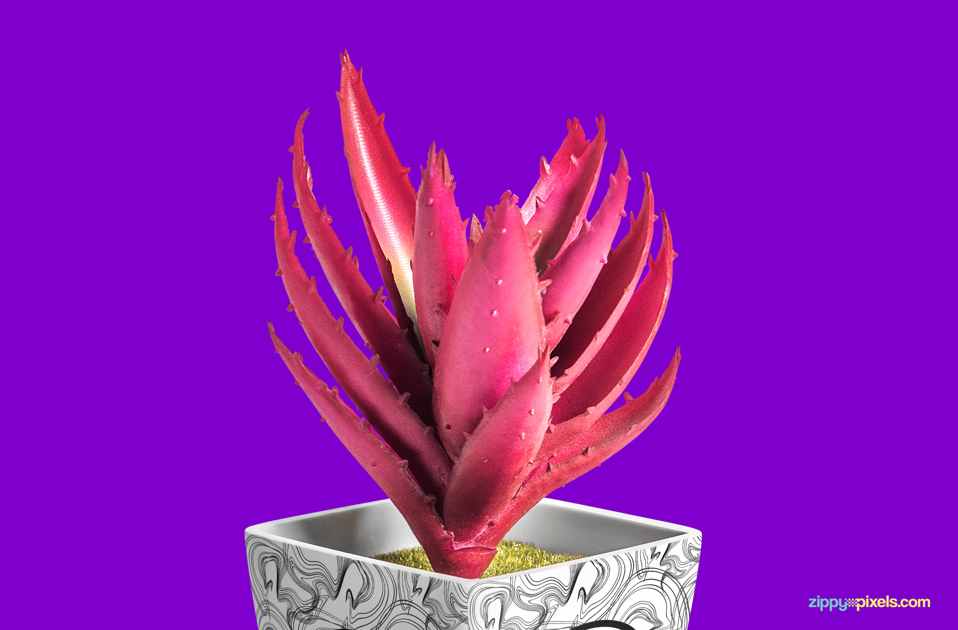 Customizable color of the inner side of the flower pot.