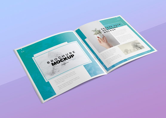 Free Square Brochure Mockup