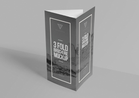Free Elegant Tri Fold Brochure Mockup
