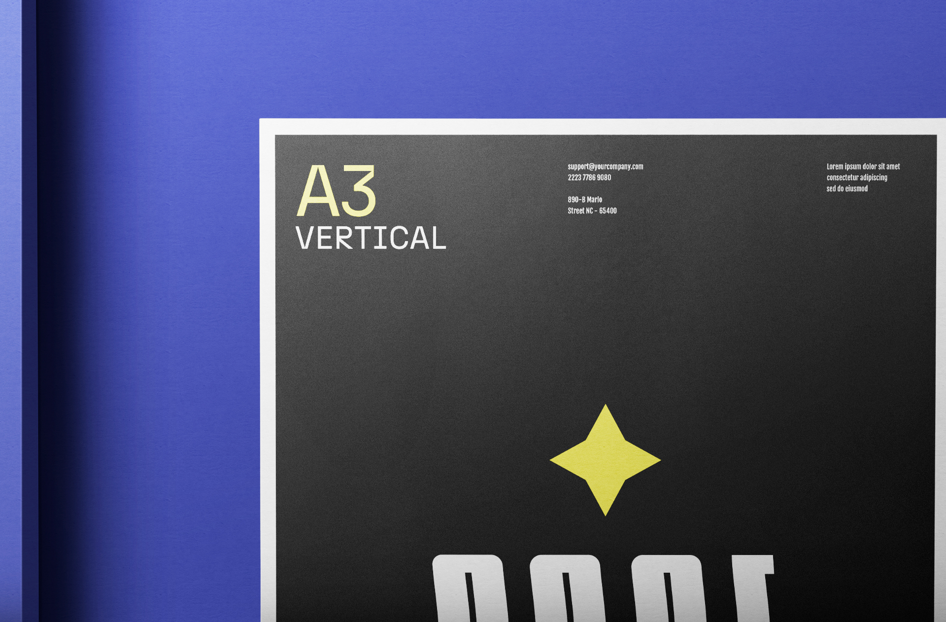 A3