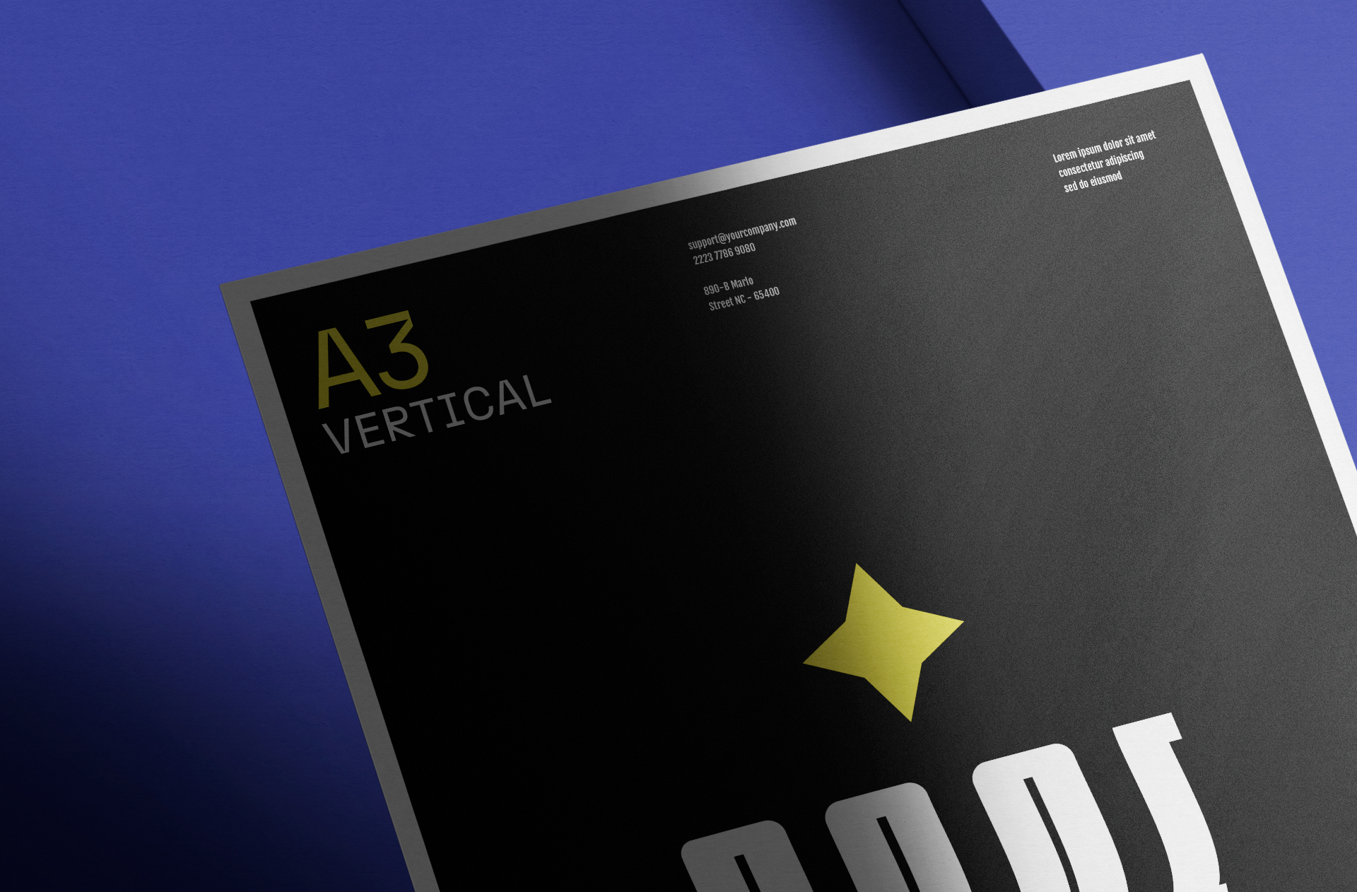 A3