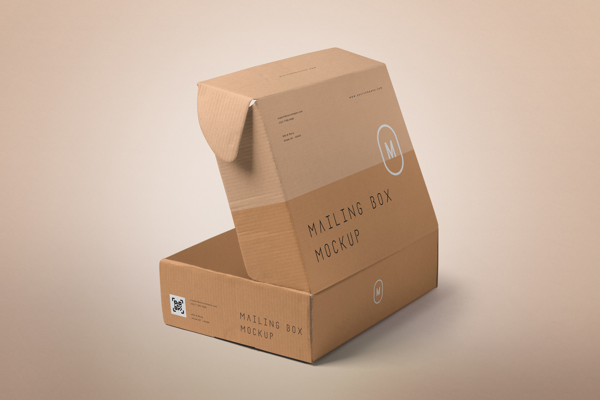 branding packaging mockup