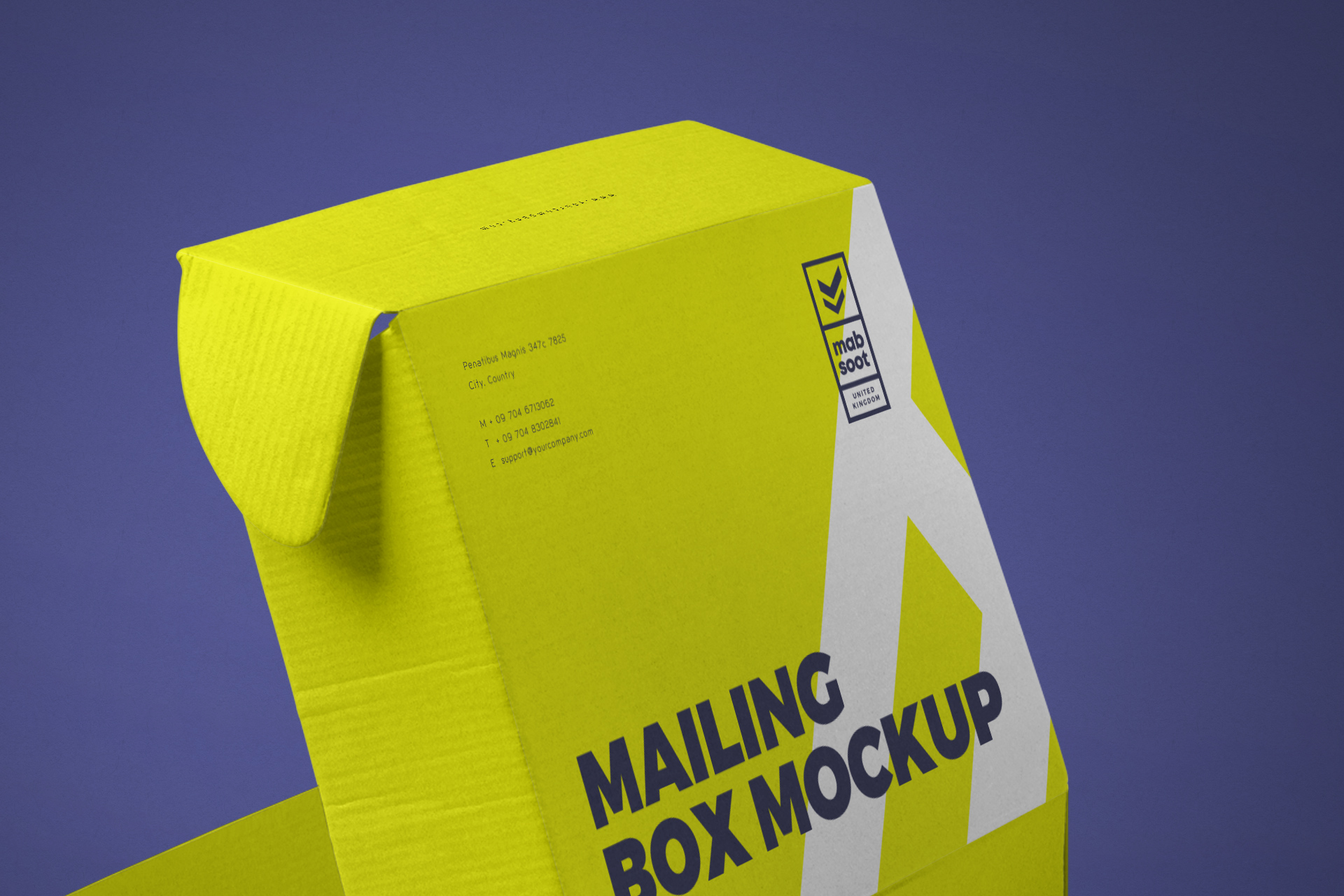 branding packaging mockup