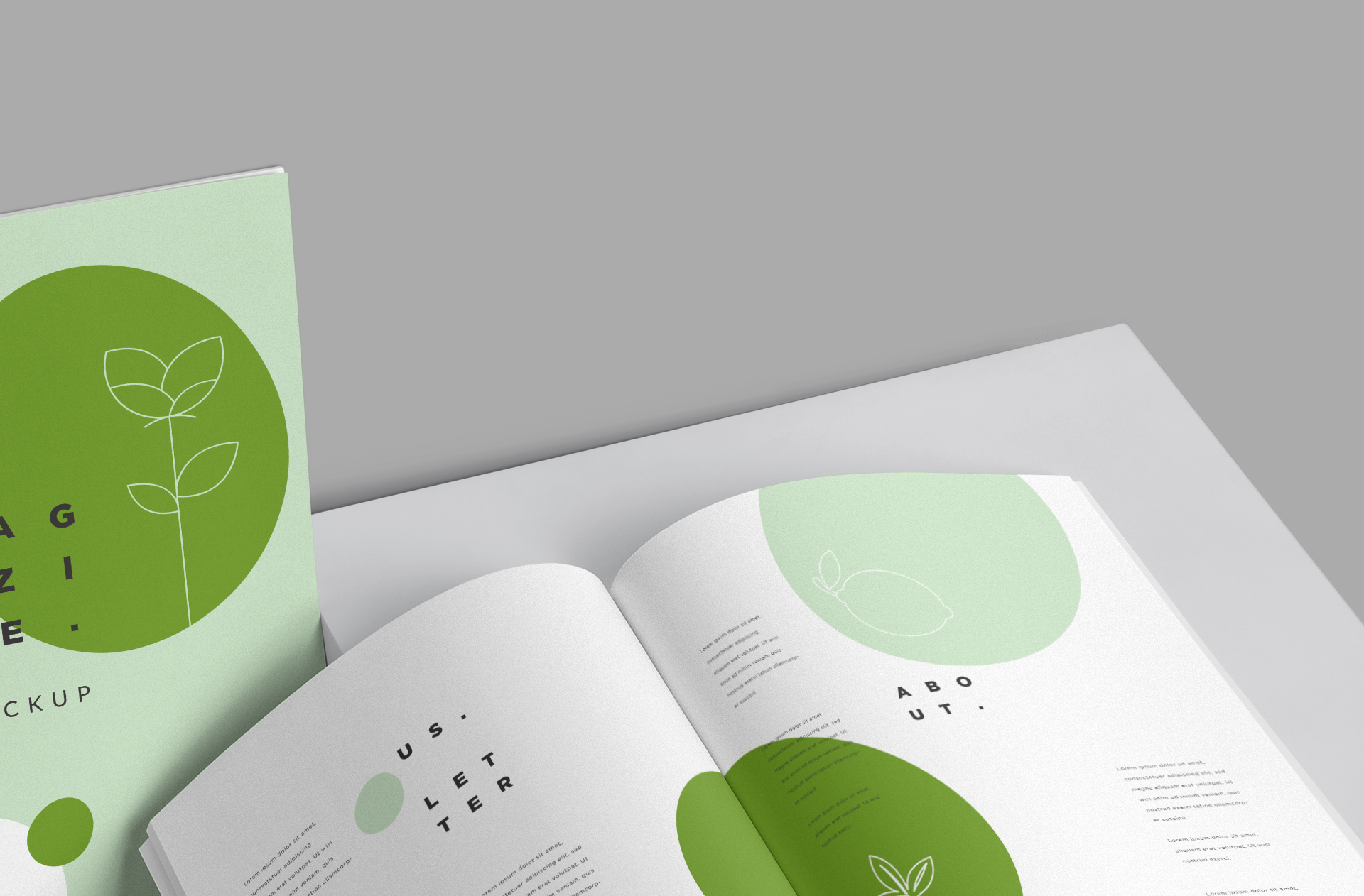 book design mock-up