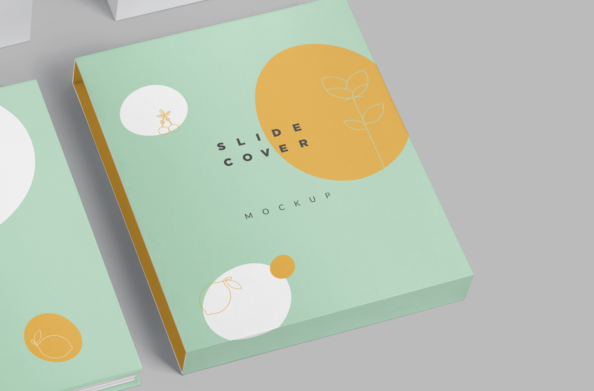 book design PSD