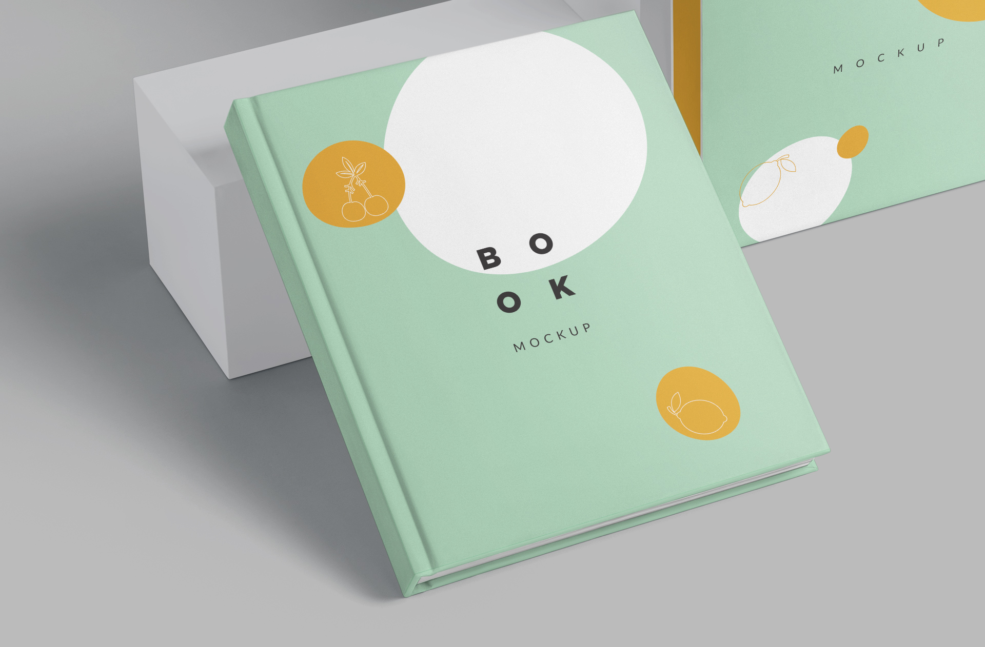 book branding mockup