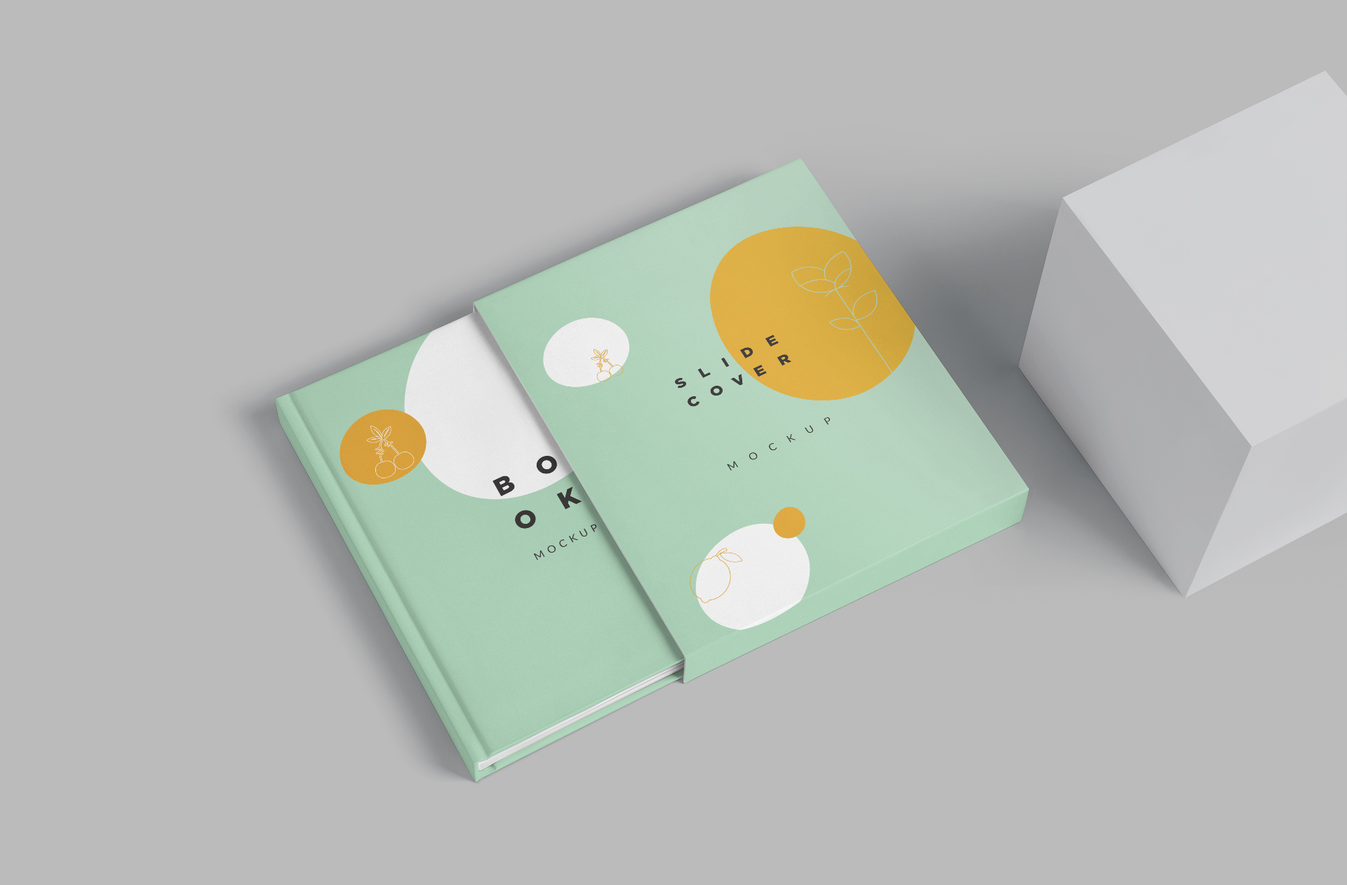 Hardcover and Slide Cover Mockup Set