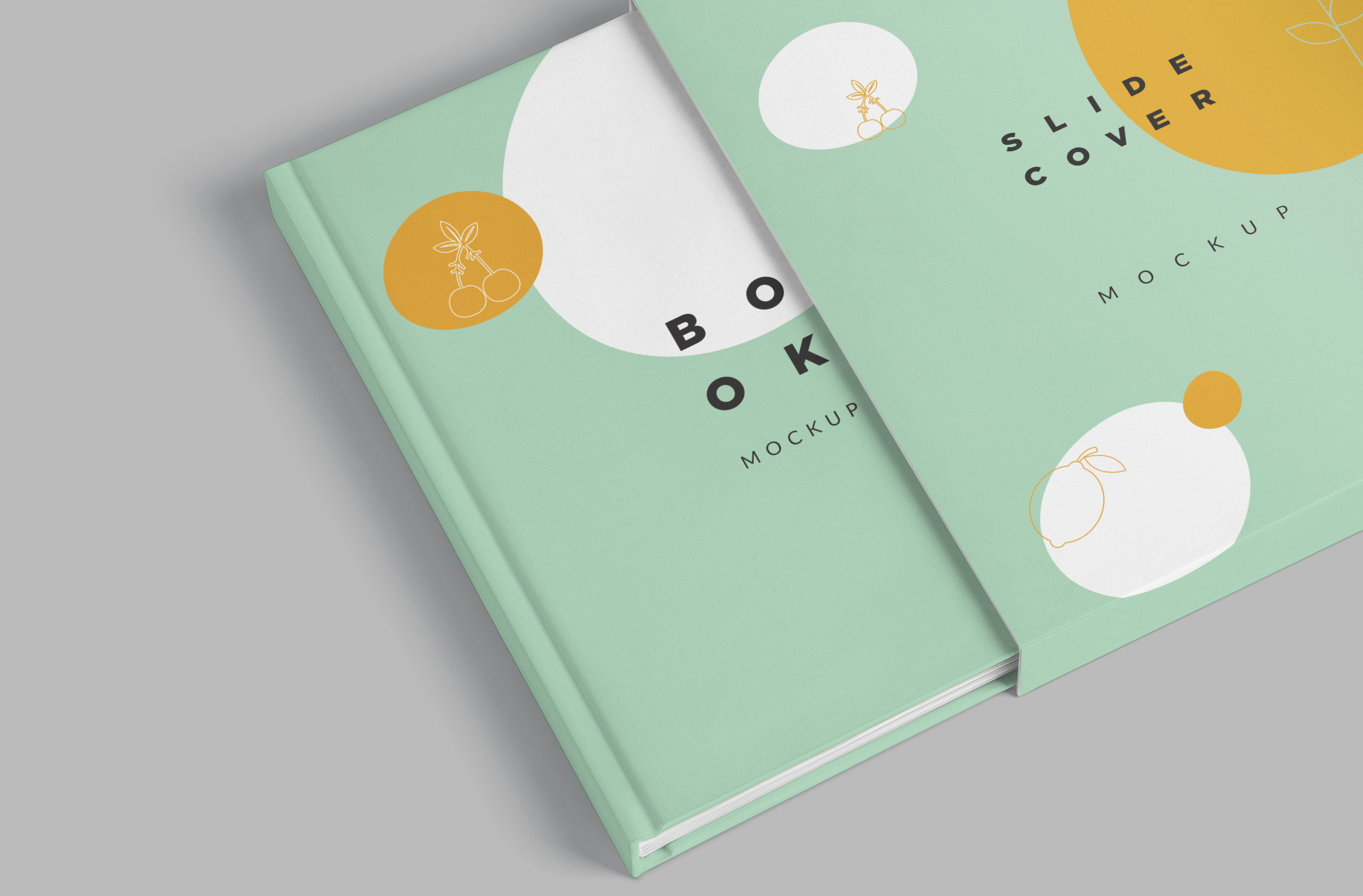 book branding mock-up