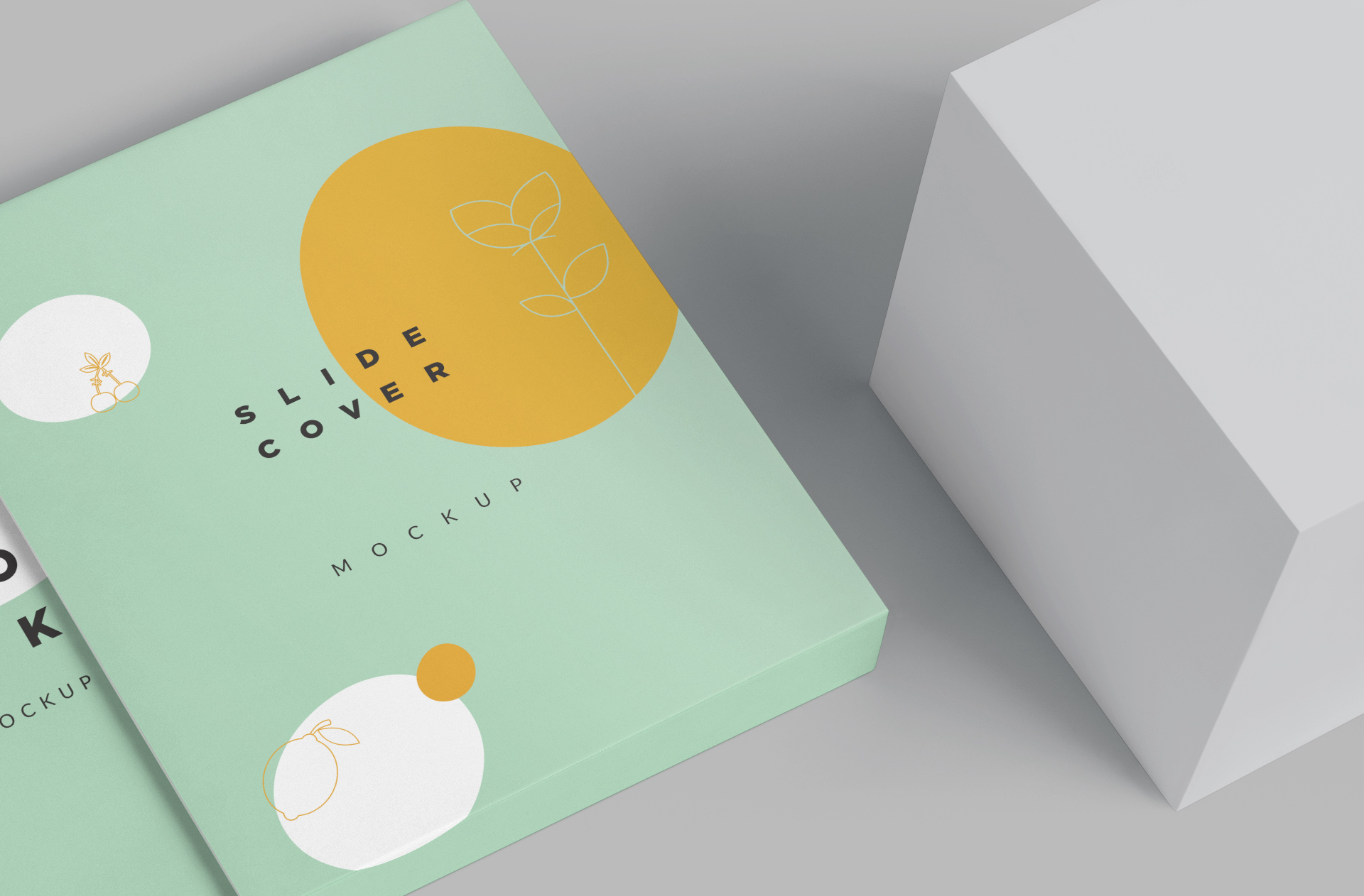 book branding mock-up