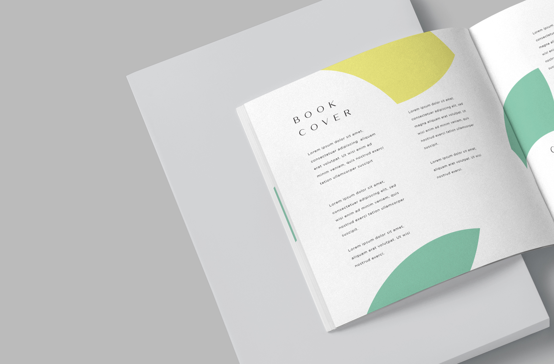 book branding PSD