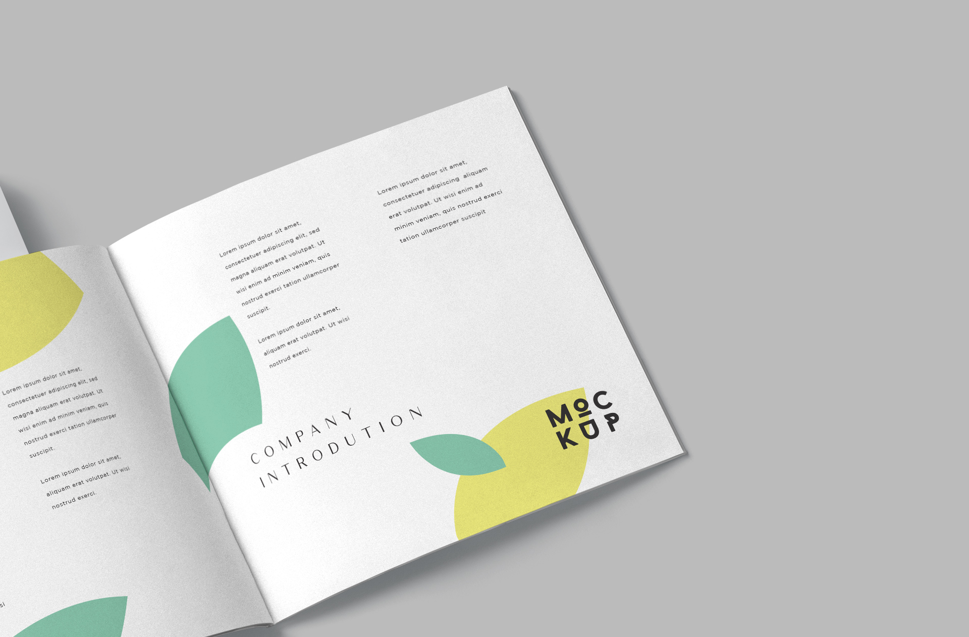 book branding PSD