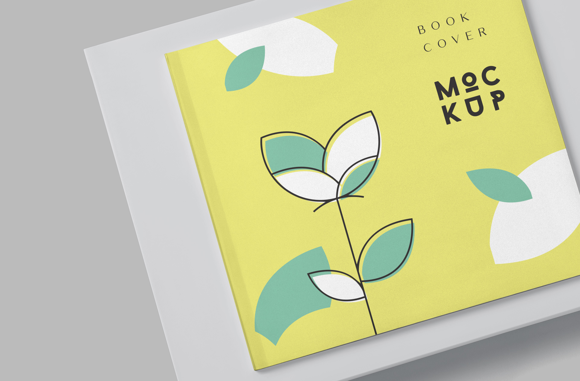 book branding mockup