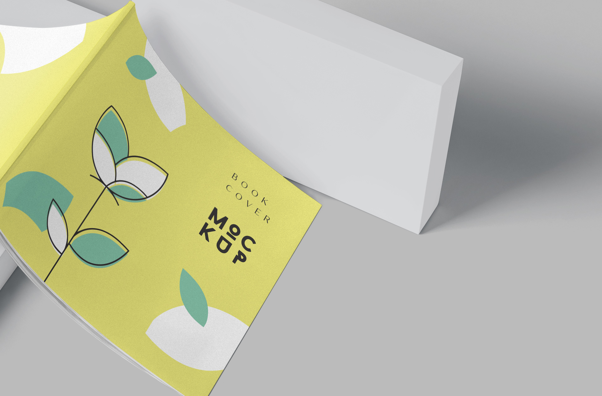 book branding PSD