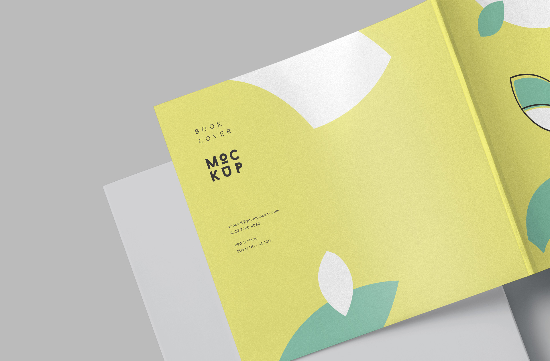 book branding PSD