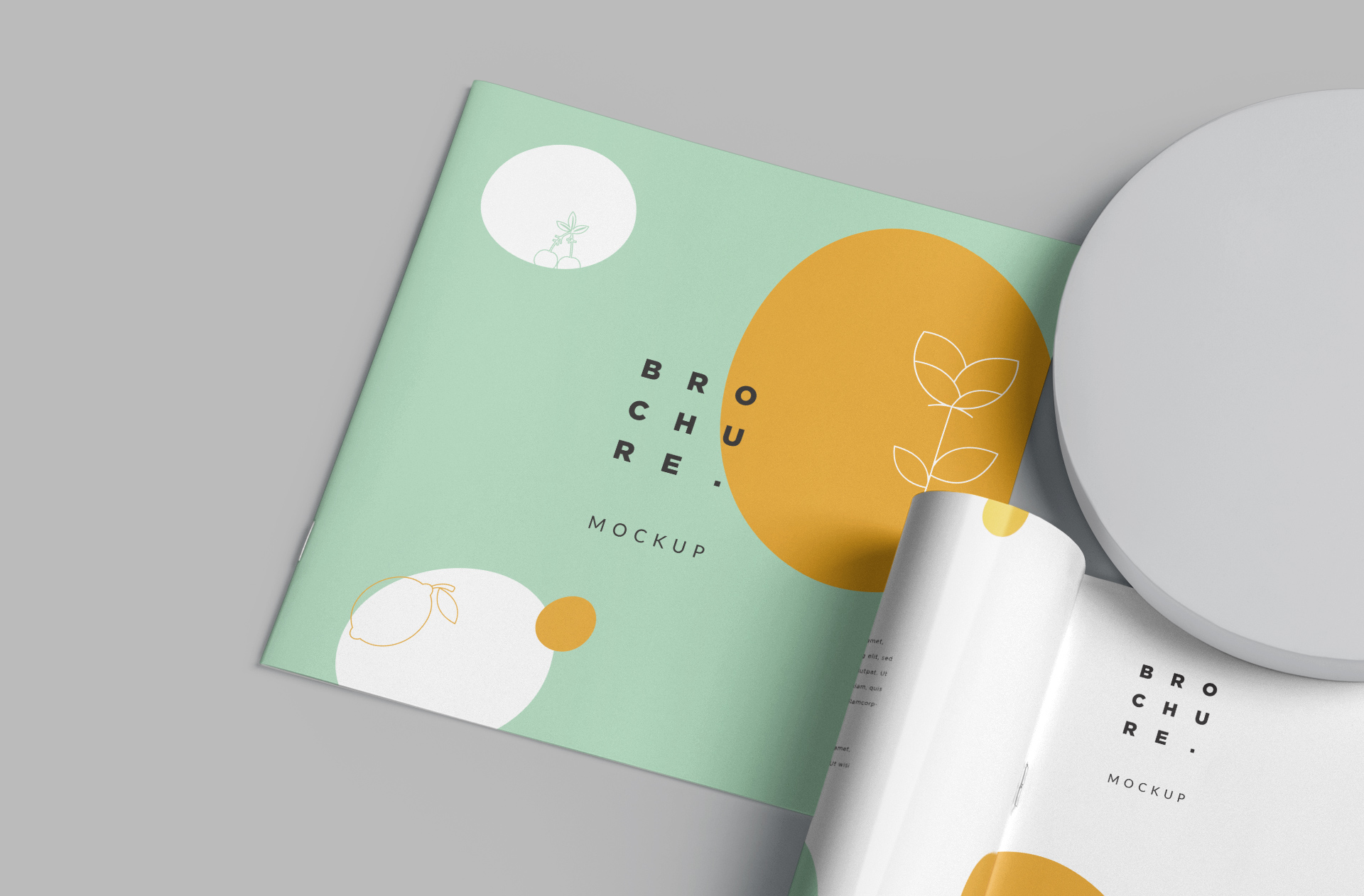 creative brochure mock-up