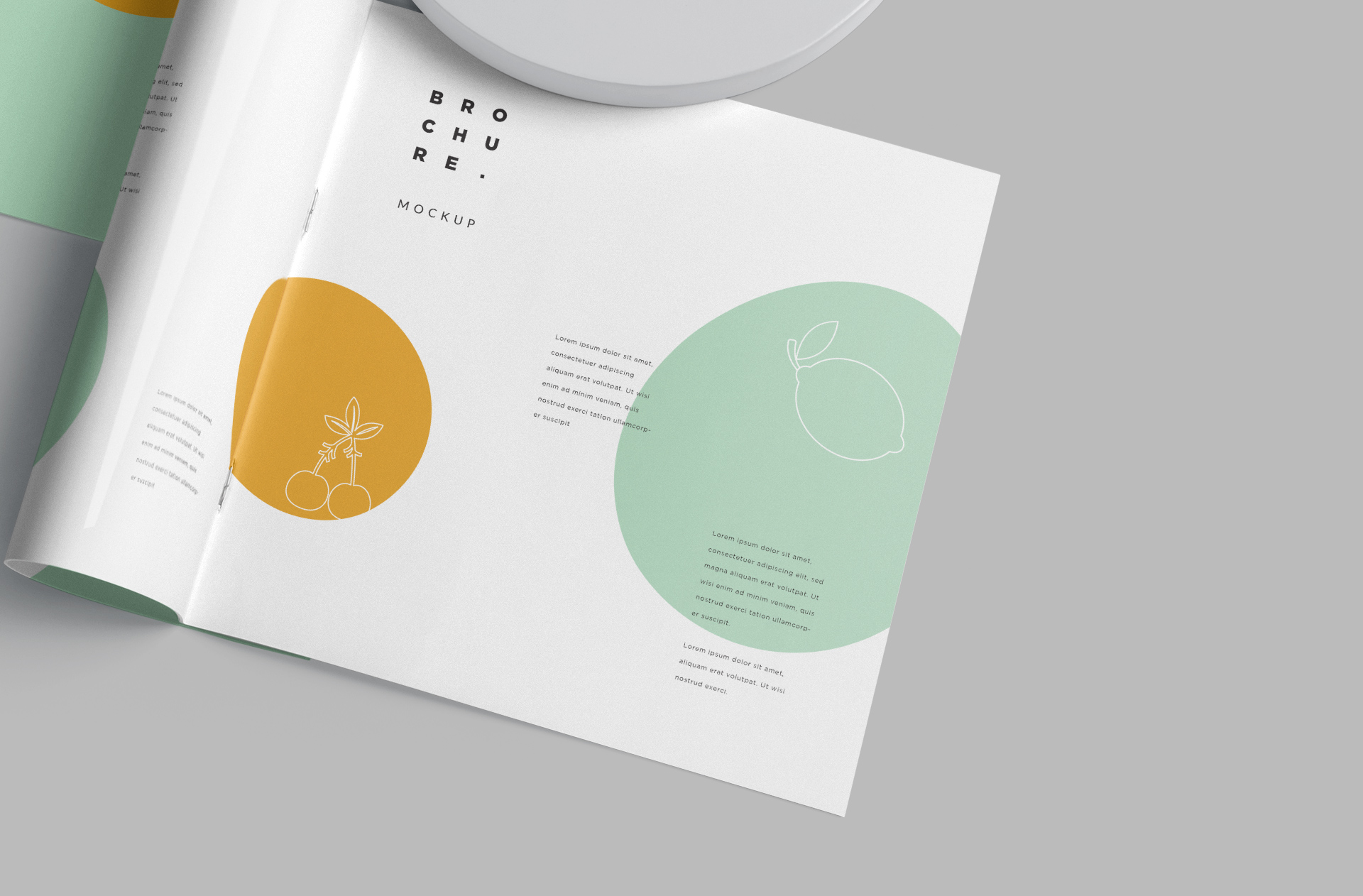 creative brochure mock-up