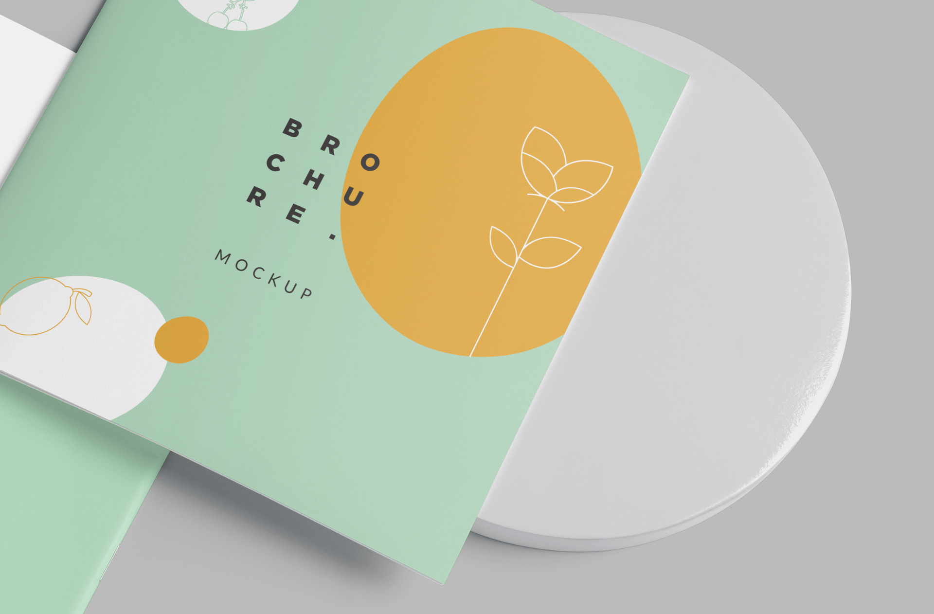 advertising brochure mock-up