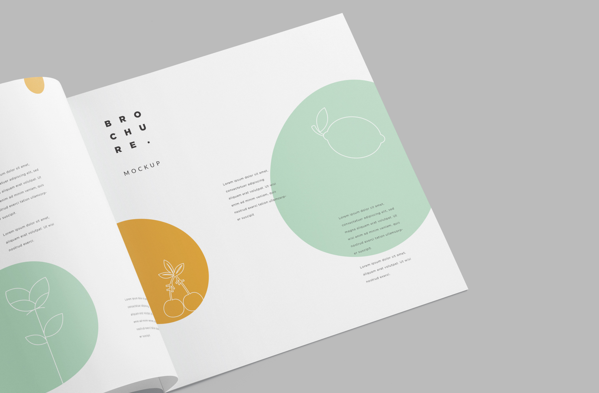 brochure layout template