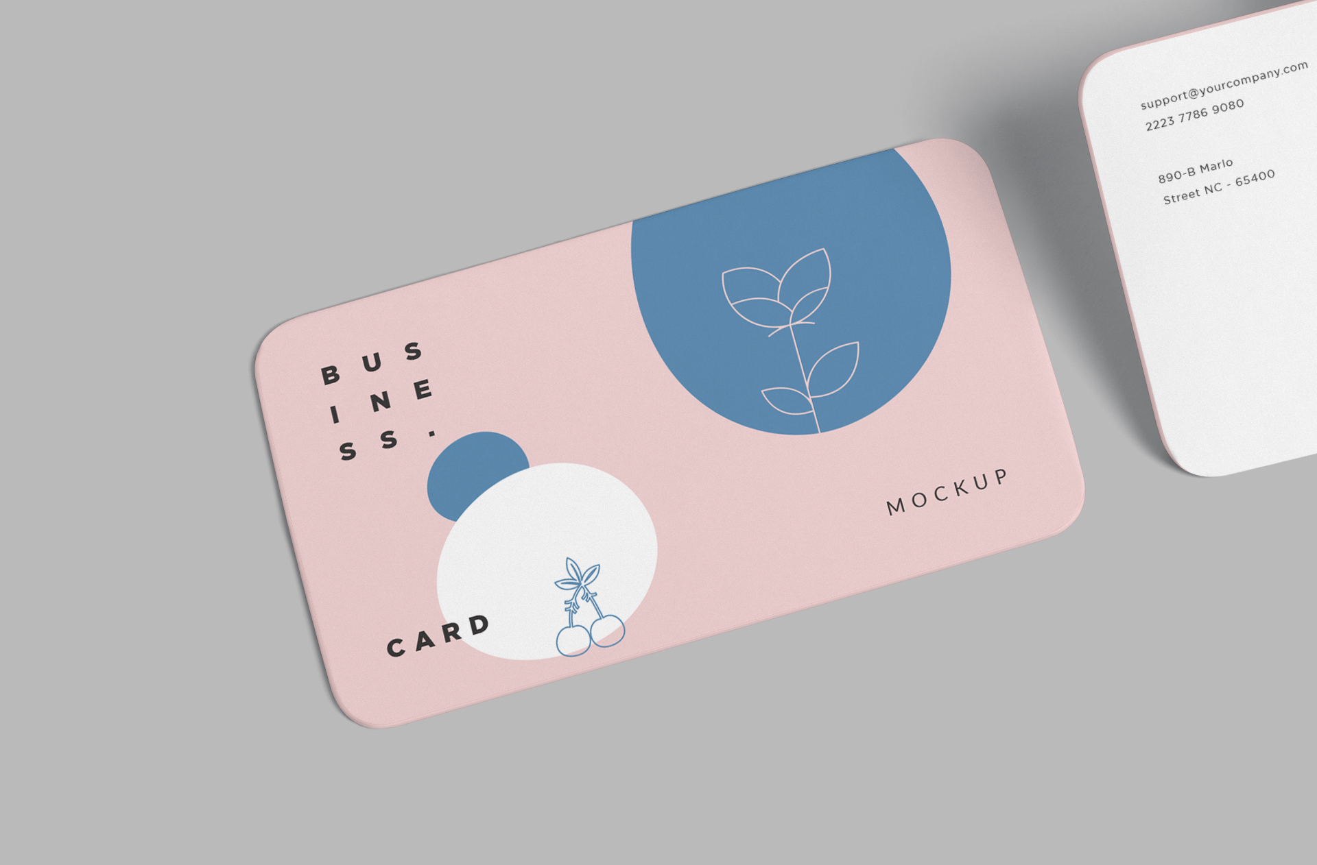 branding presentation mock-up