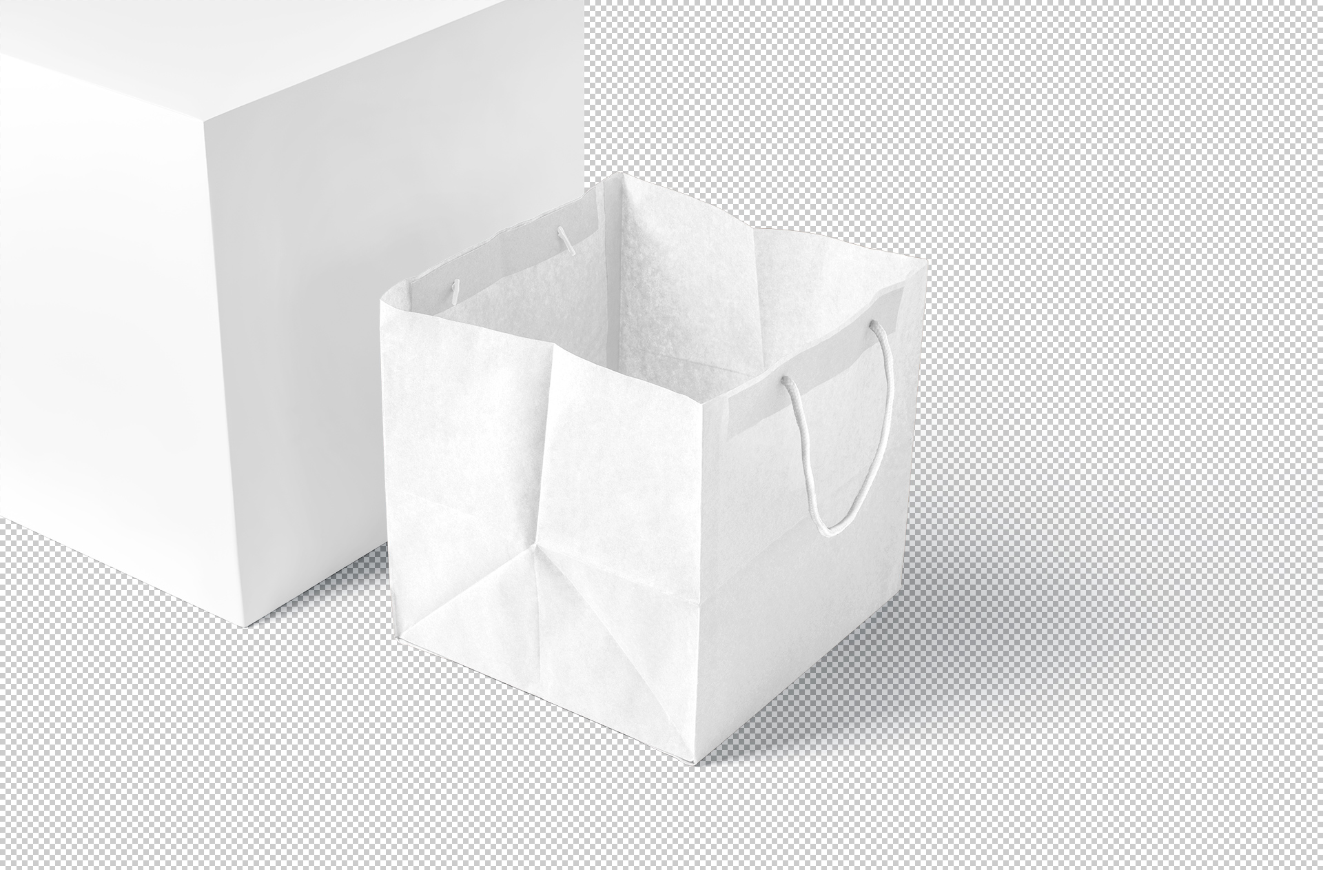 branding bag template