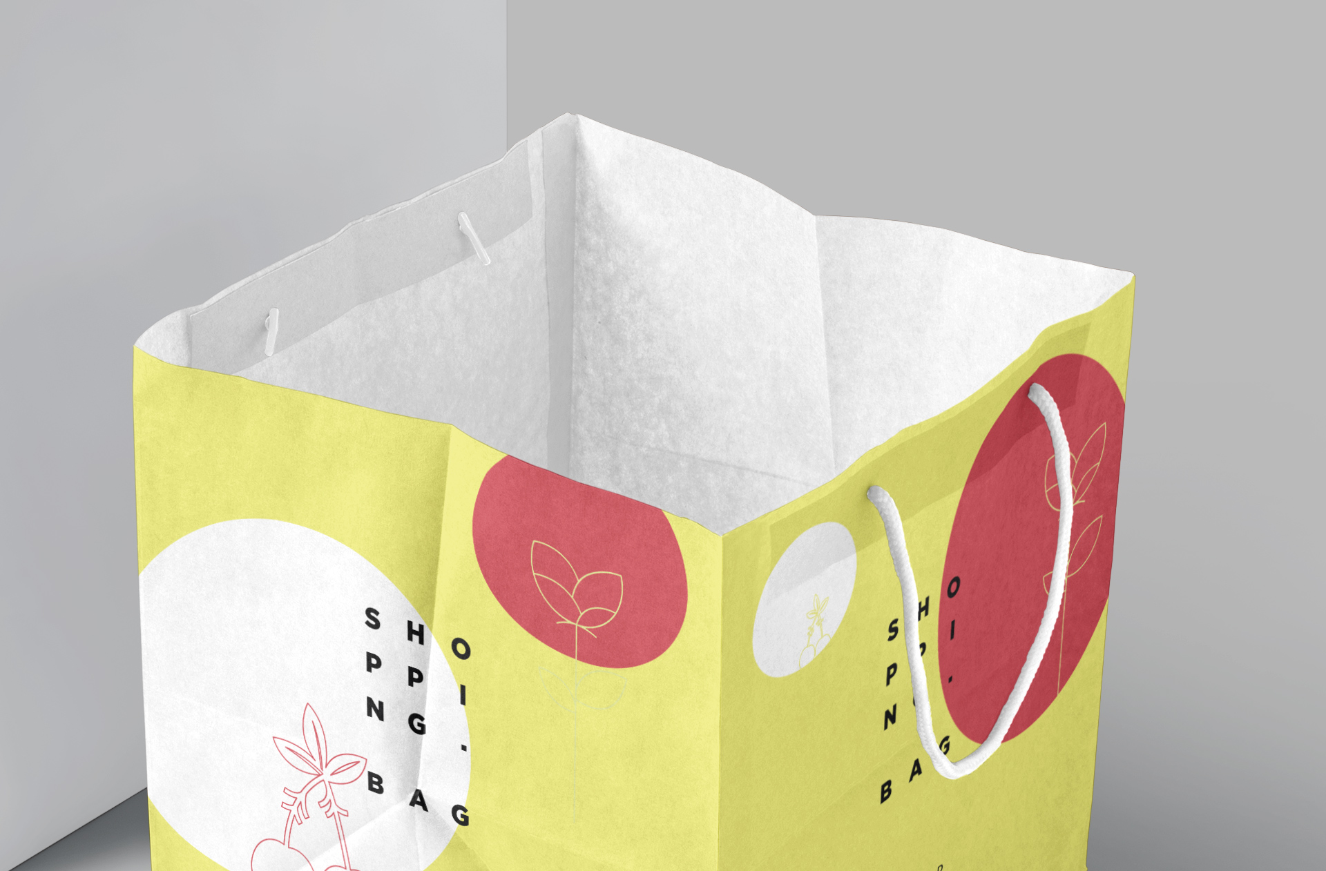 branding bag template