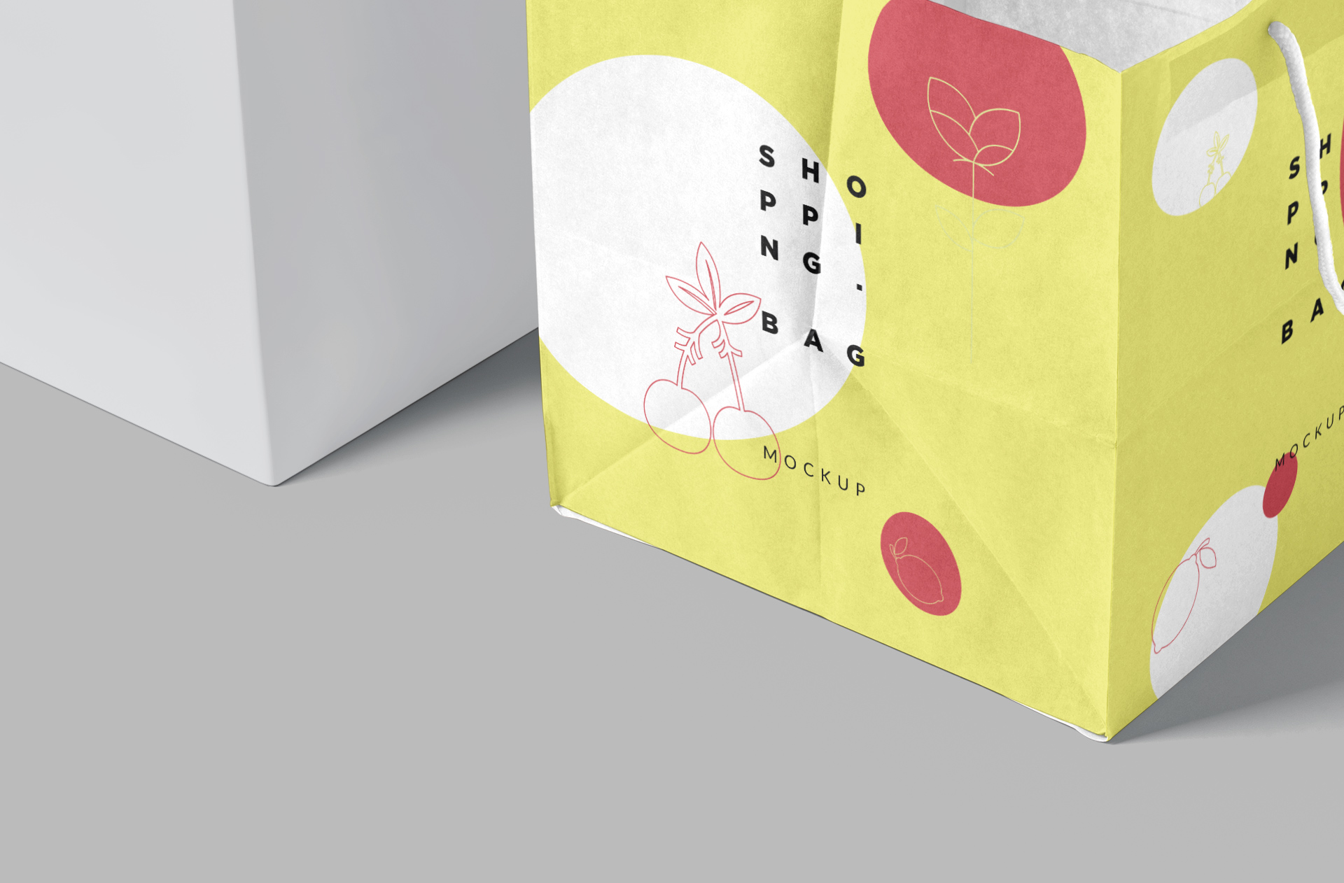 branding bag template