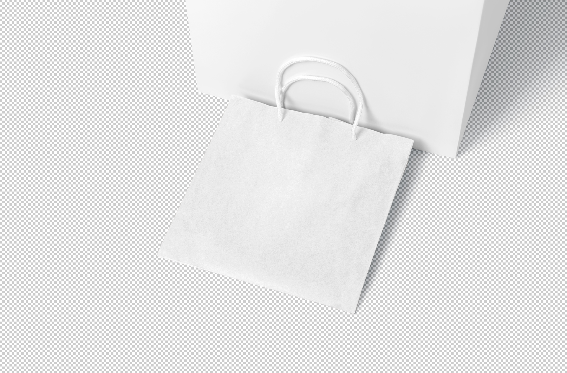branding bag mockup