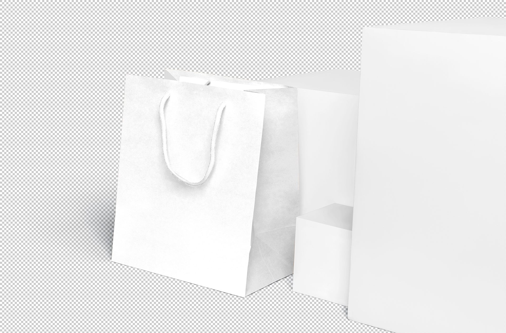 branding bag PSD