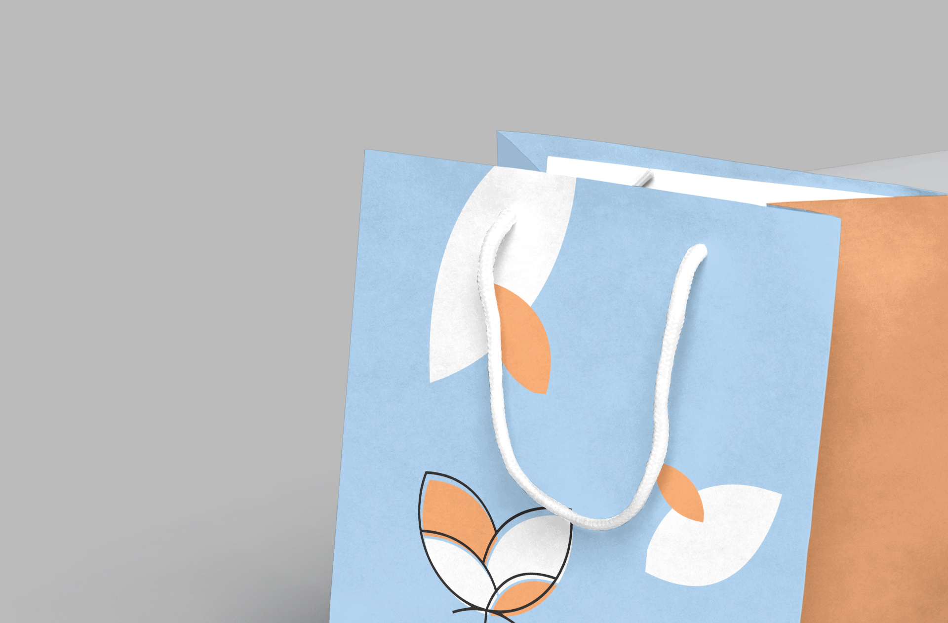 branding bag PSD