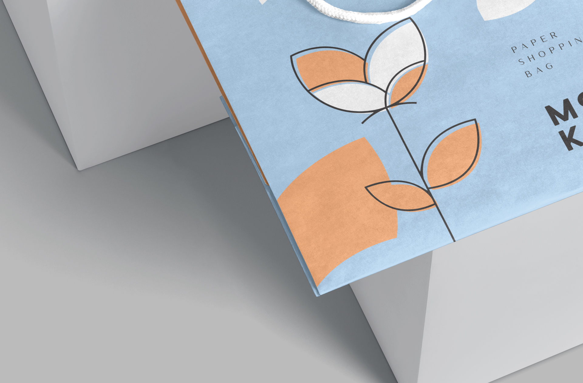 branding packaging mock-up