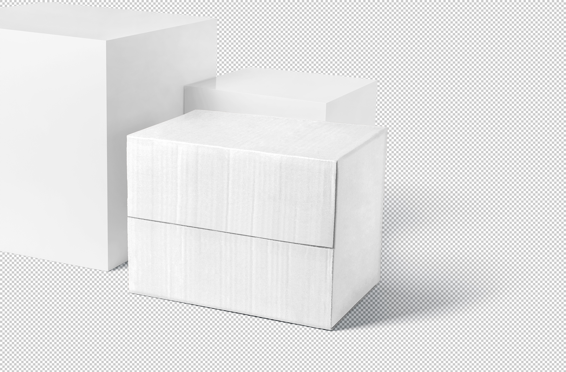 branding packaging template