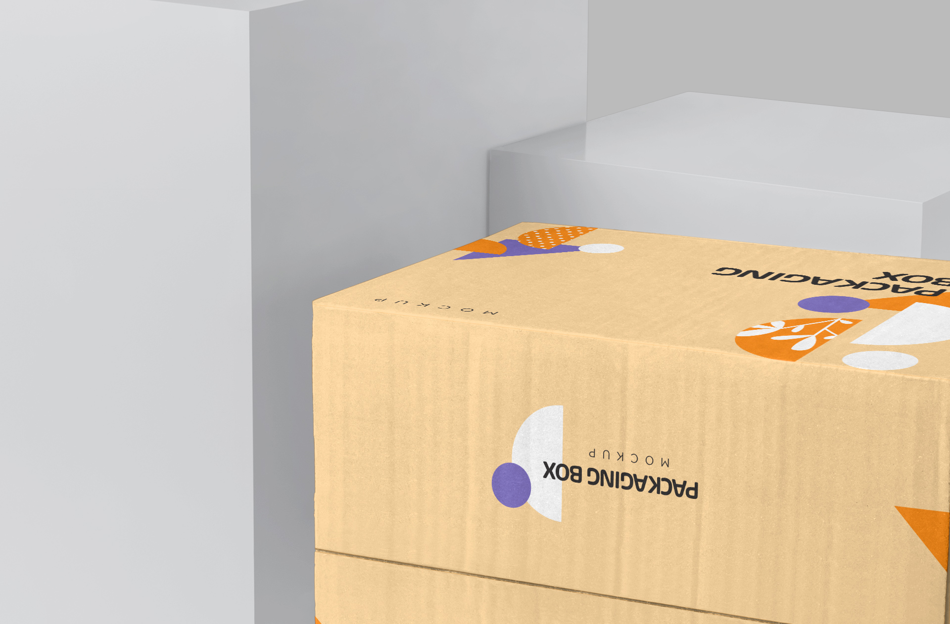branding packaging template