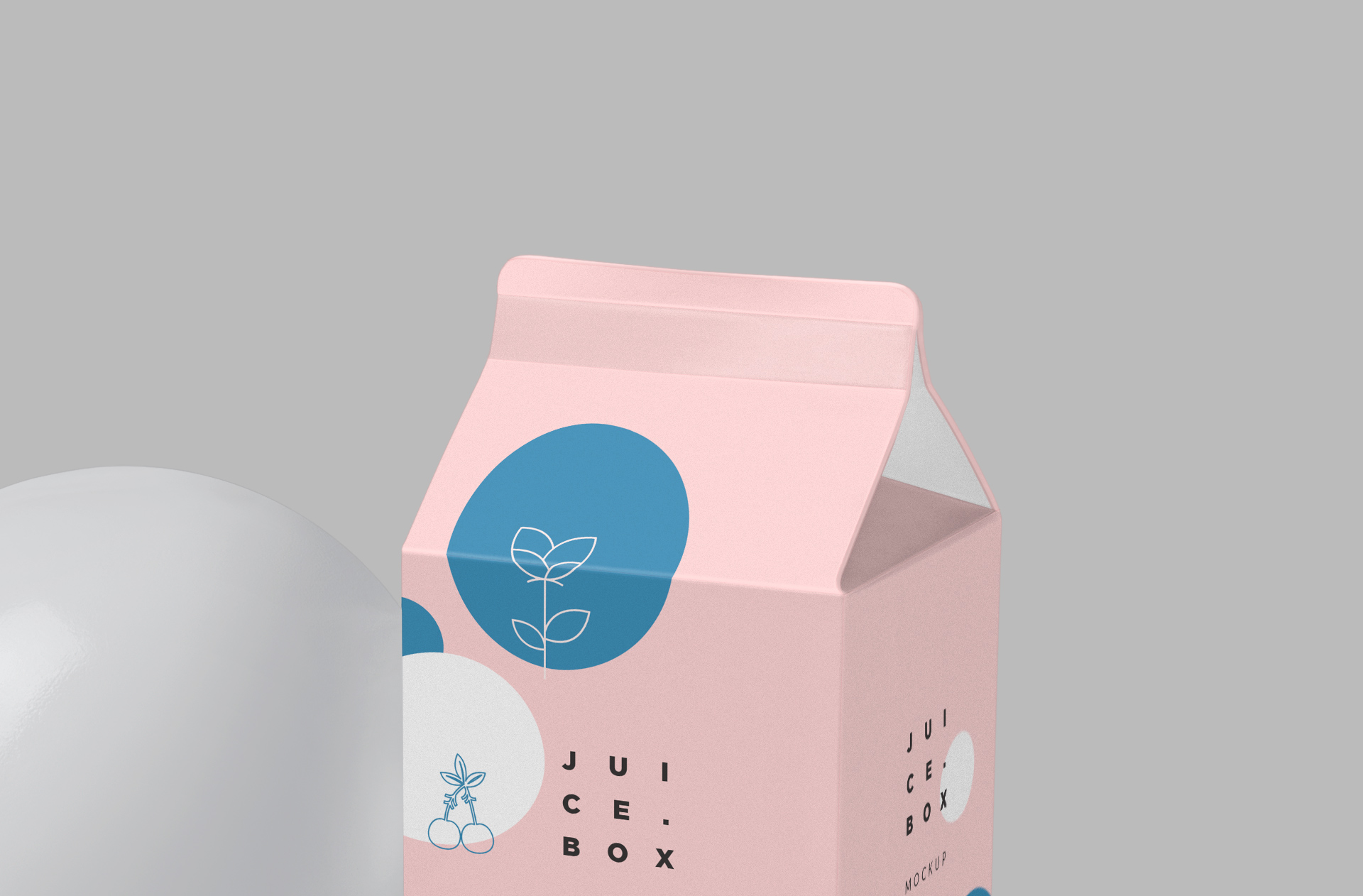 beverage carton mock-up