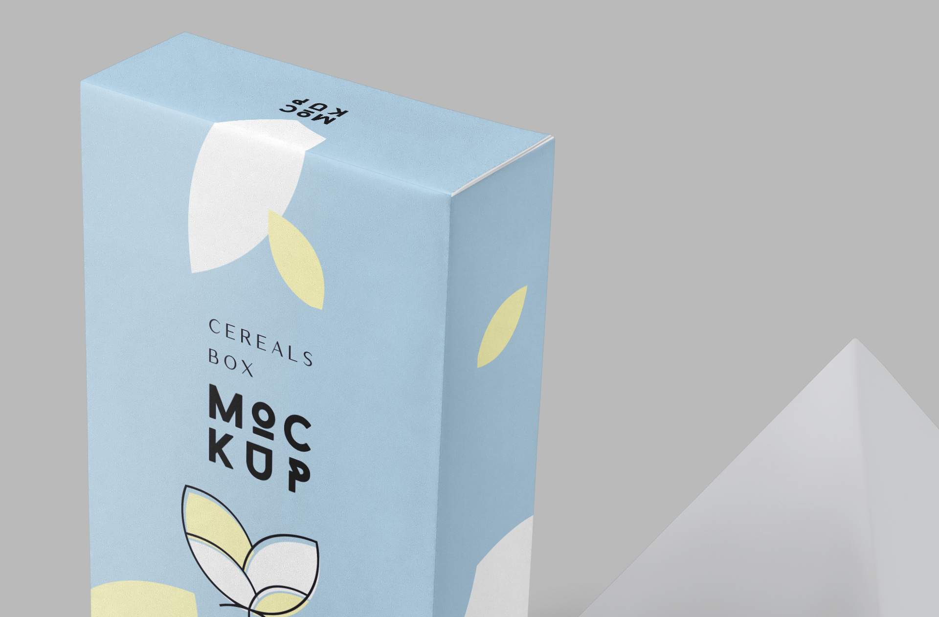 carton box mock-up