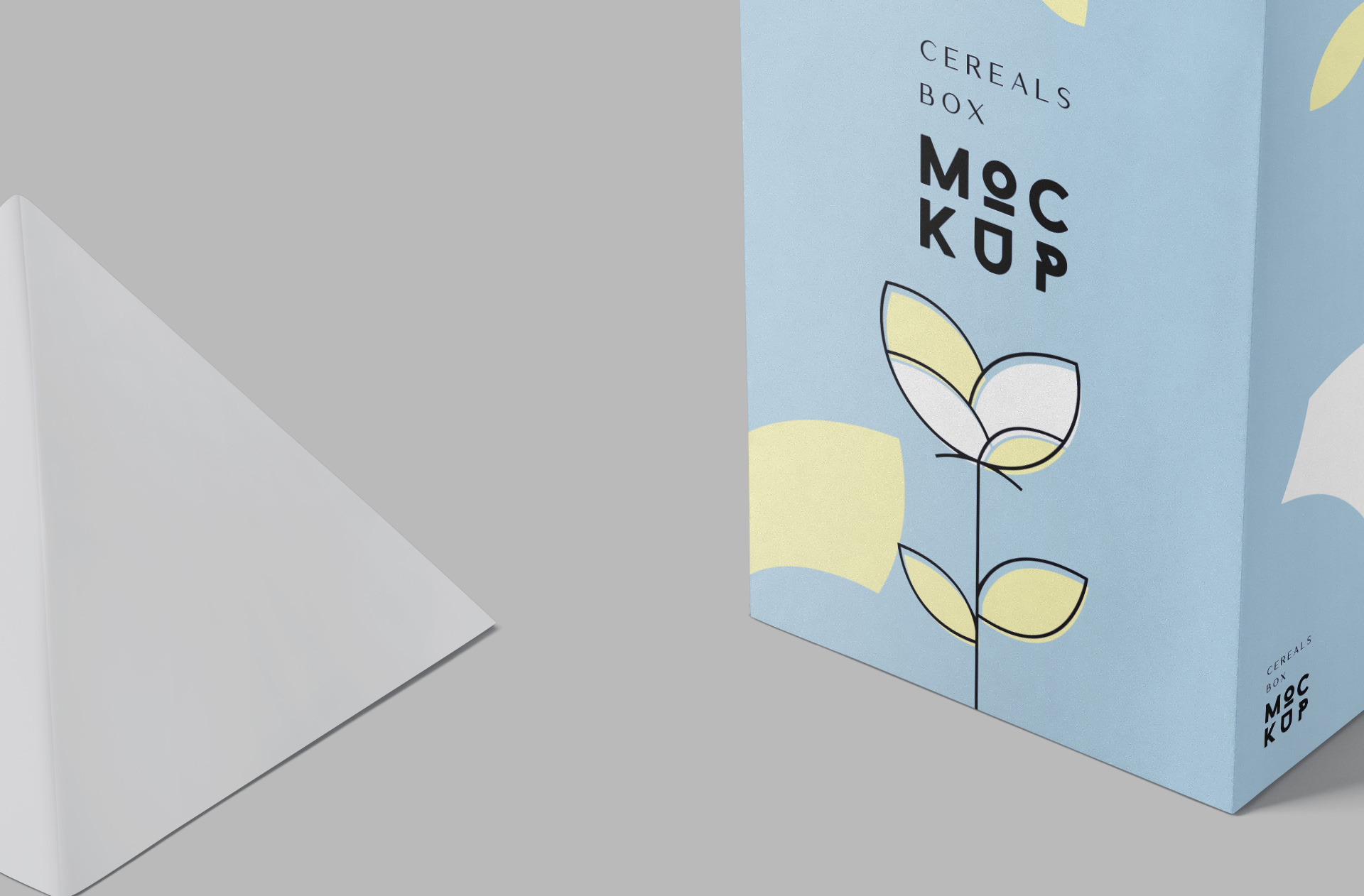 carton box mock-up