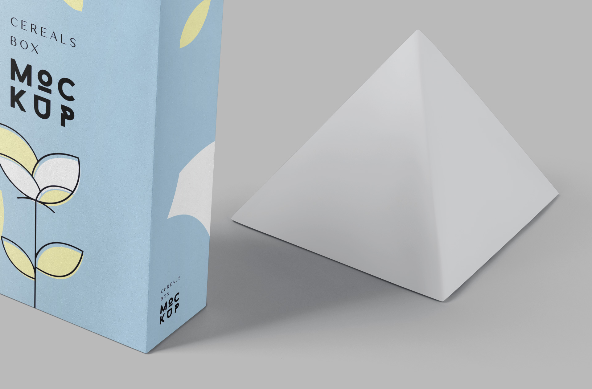 carton box mock-up
