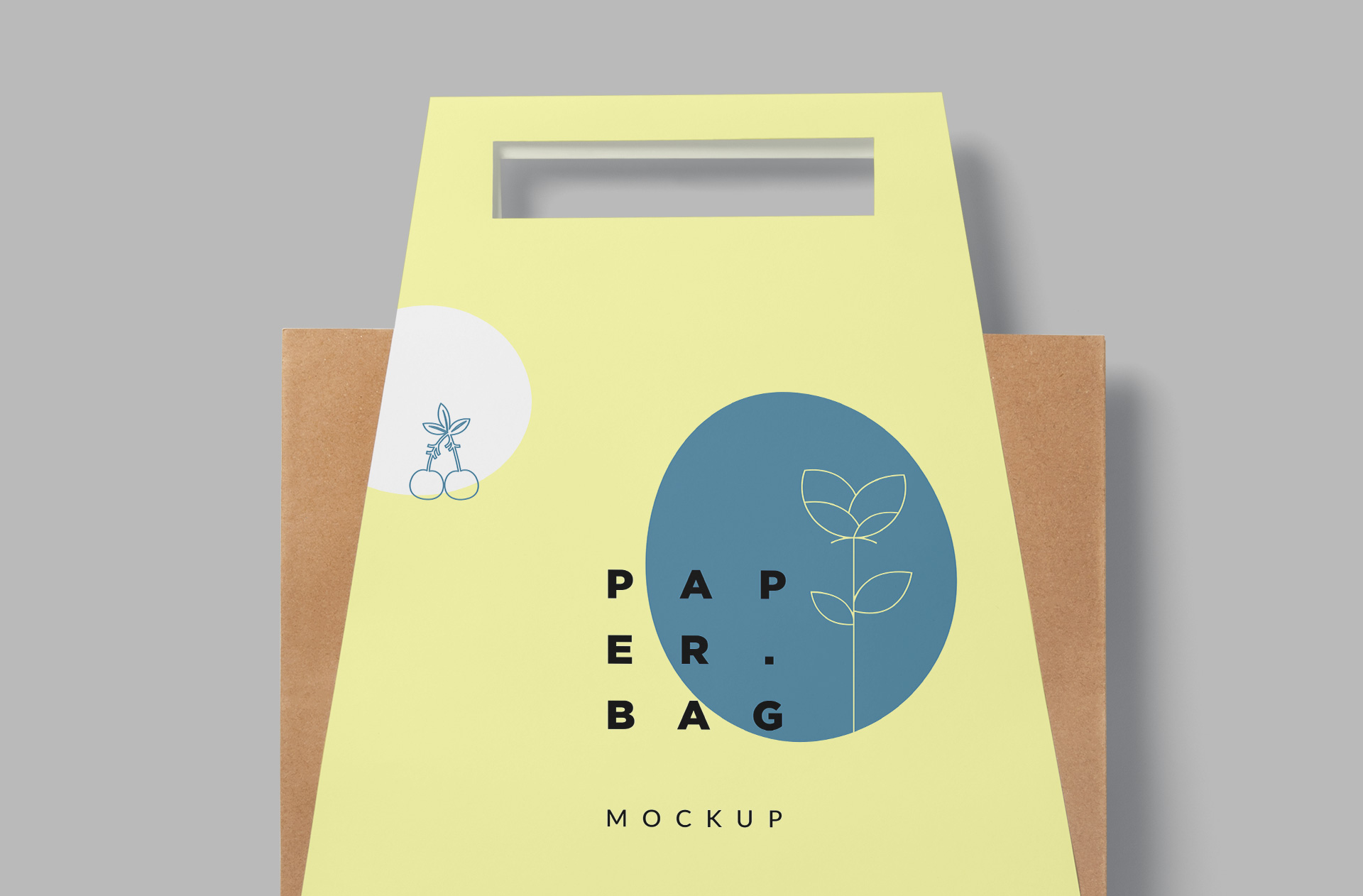 branding kraft bag