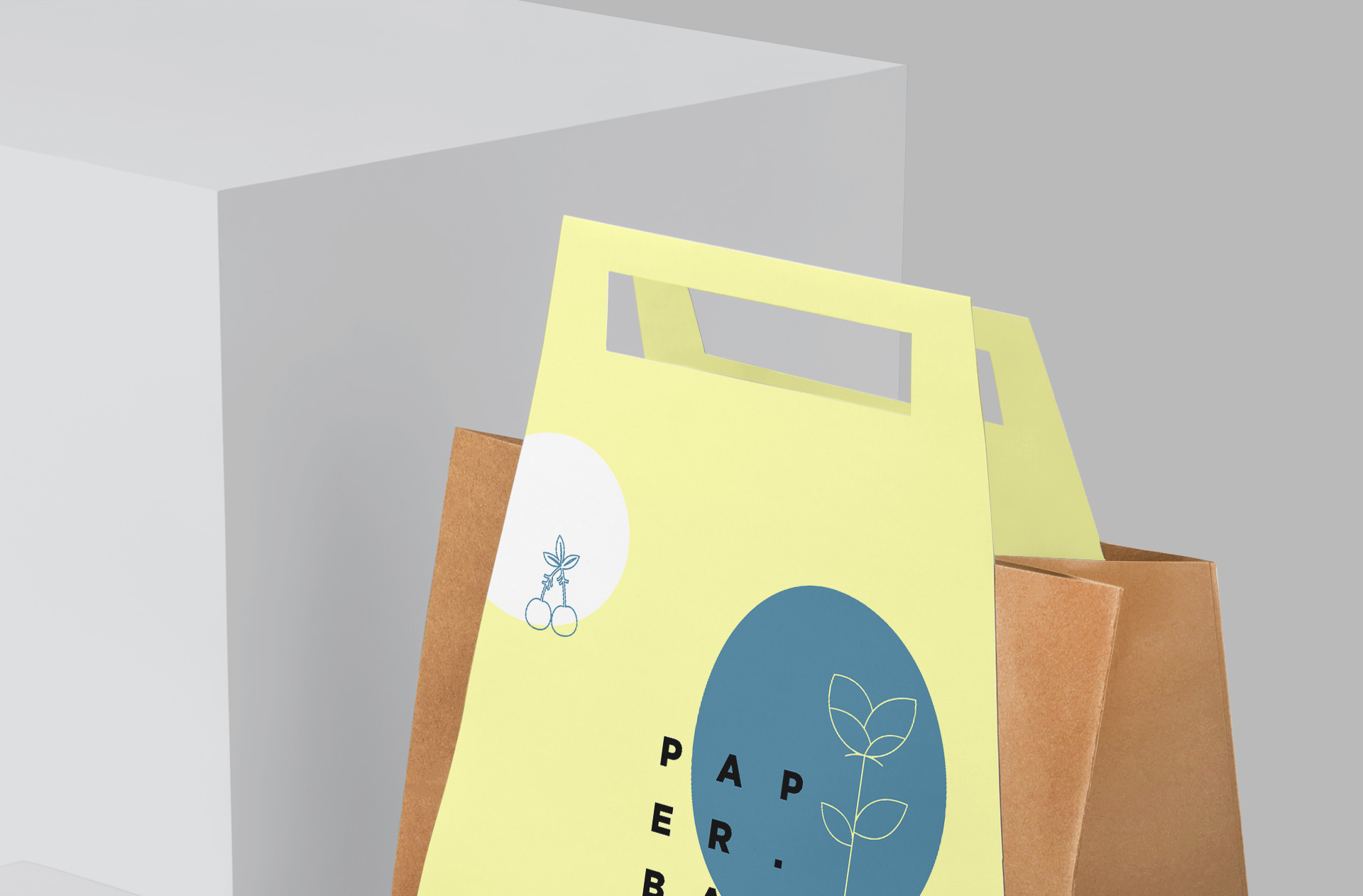 customizable takeaway bag