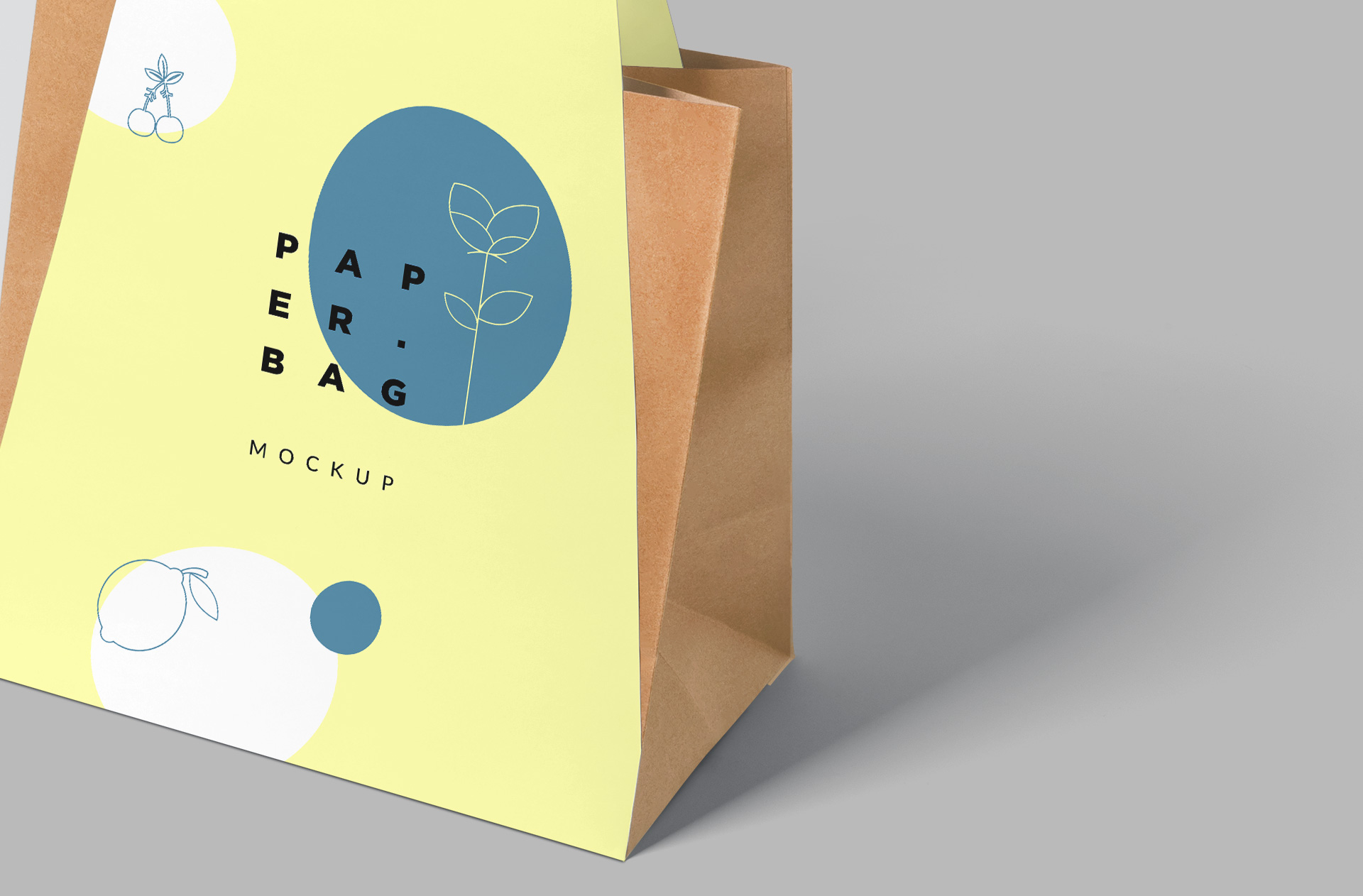 customizable paper packaging template