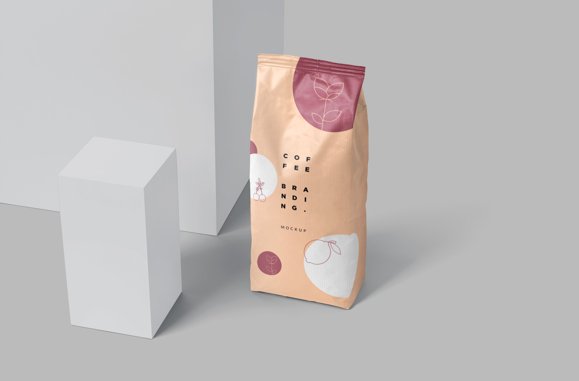 Minimalist Coffee Bag Mockup with Custom Branding