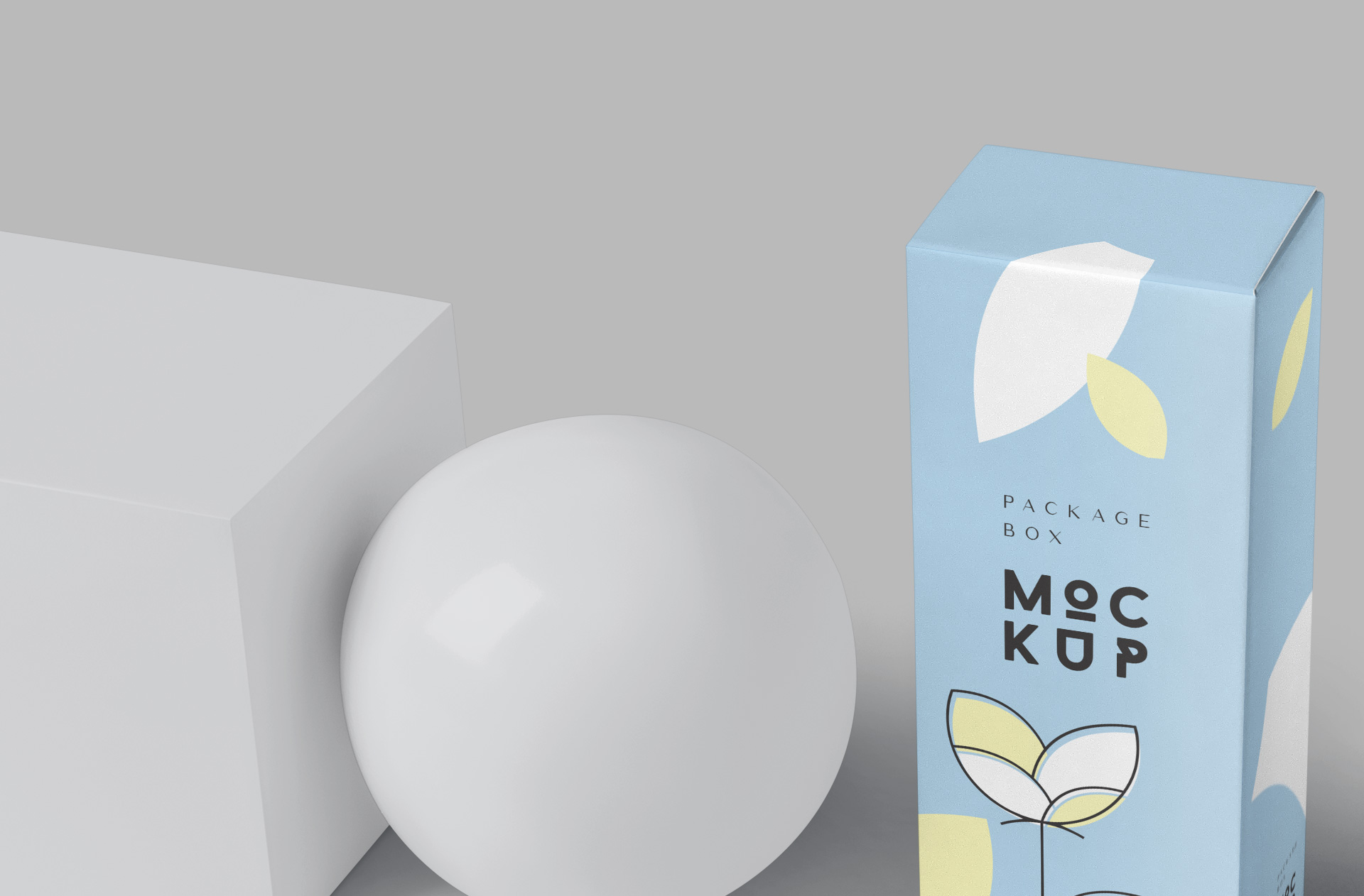 branding box PSD